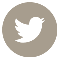 Twitter icon